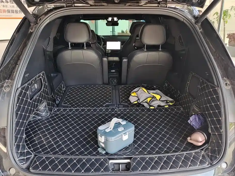 Lynk & Co 09 EM-P 2021 2.0T PHEV Halo 6-seater фото 4