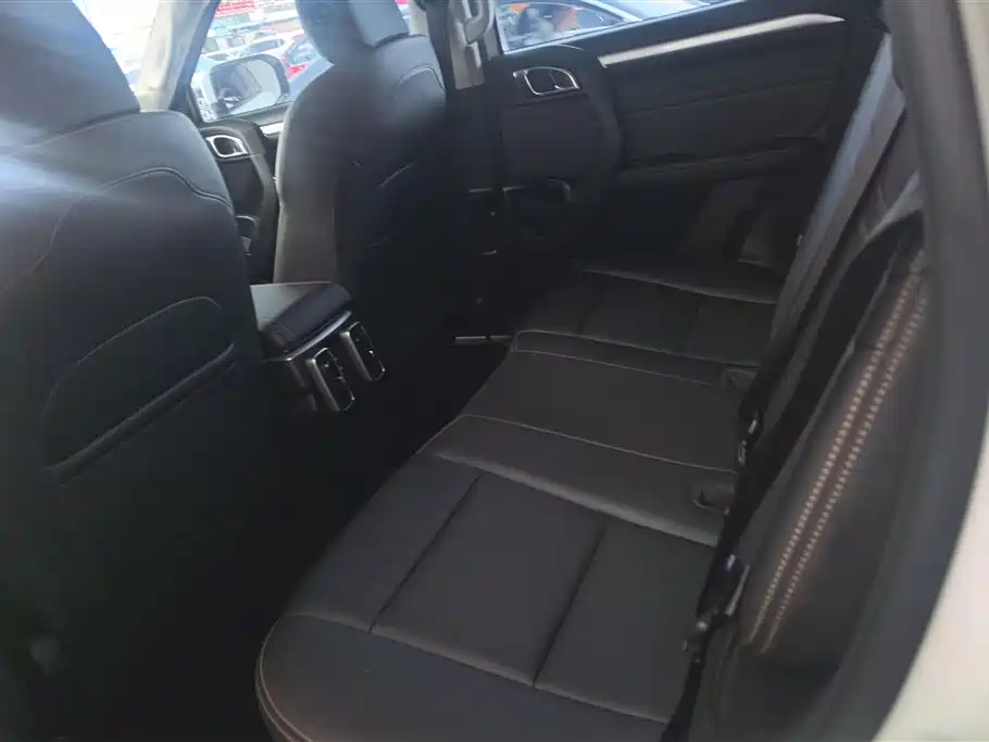 Haval Big Dog 2021 1.5T DCT 2WD Border Collie Edition фото 11