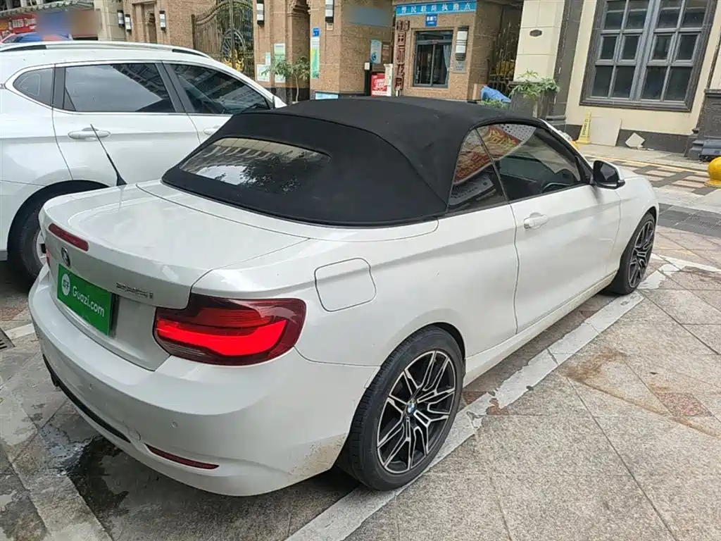 BMW 2 Series (Import) 2019 225i Convertible Coupe Sport Design Package фото 7