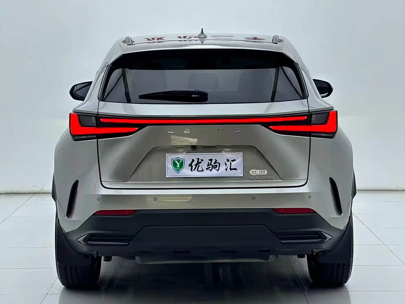Lexus NX 2024 2023 260 FWD Joy Creation Edition