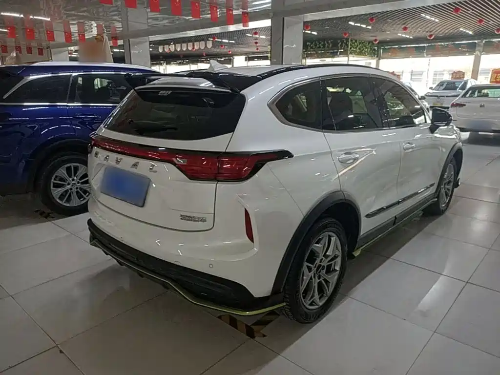 Haval Chitu 2022 2022 Power Edition 1.5T Purple Copper Rabbit