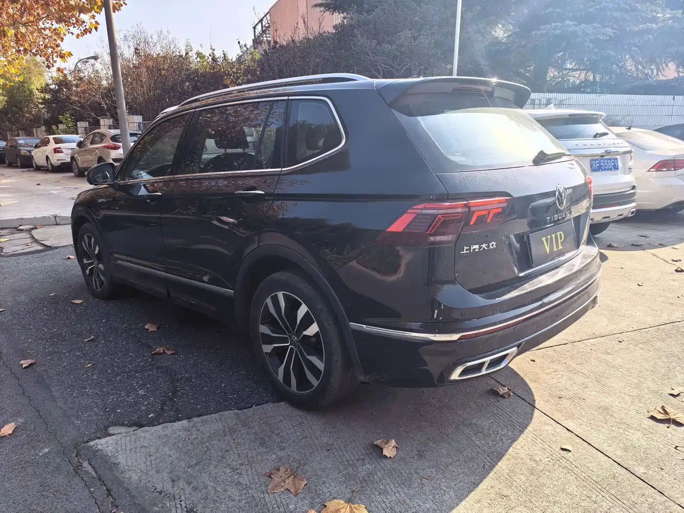 Volkswagen Tiguan L 2024 Outstanding 330TSI Auto 2WD Dragon Soaring Edition фото 7