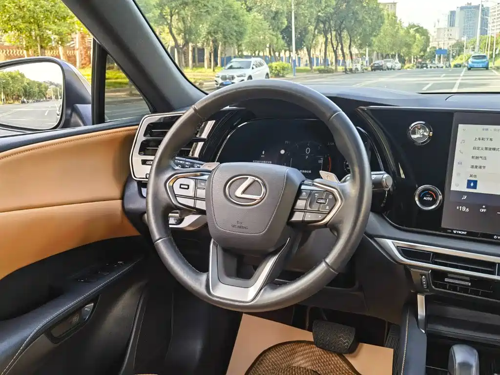 Фото 12 - Lexus RX