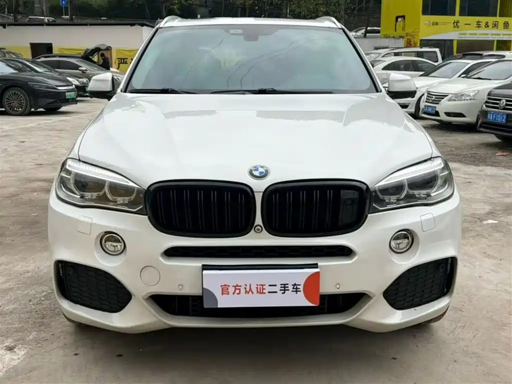 BMW X5 (Import) 2014 xDrive35i Leading фото 2