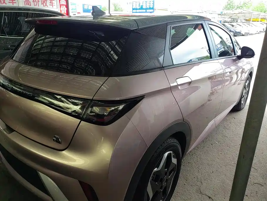 BYD Dolphin 2021 Model 405km Fashion Edition фото 3