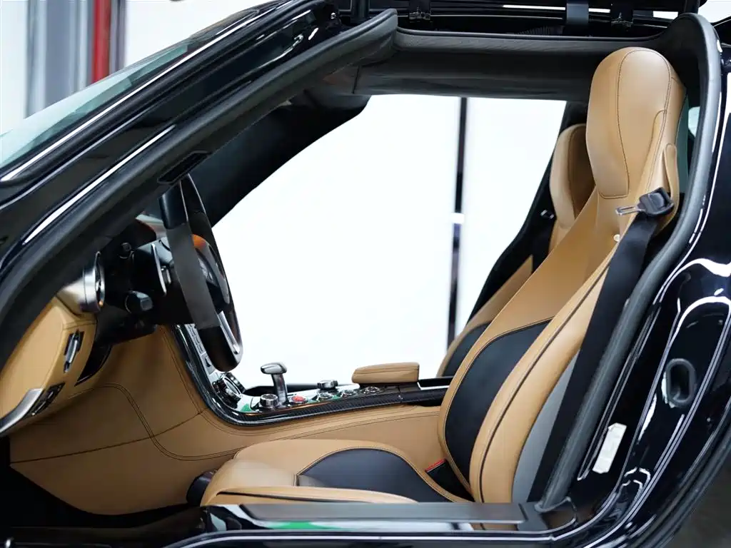 Mercedes-Benz SLS AMG 2011 SLS AMG фото 19