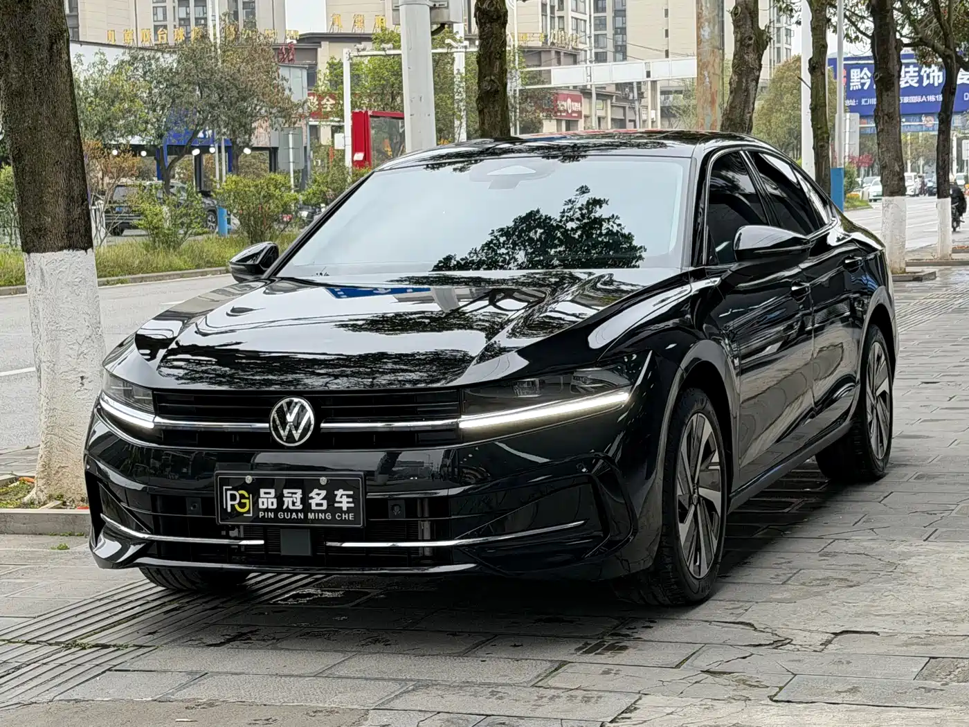 Volkswagen Magotan 2024 300TSI DSG Premium Edition (Eye-catching Package)