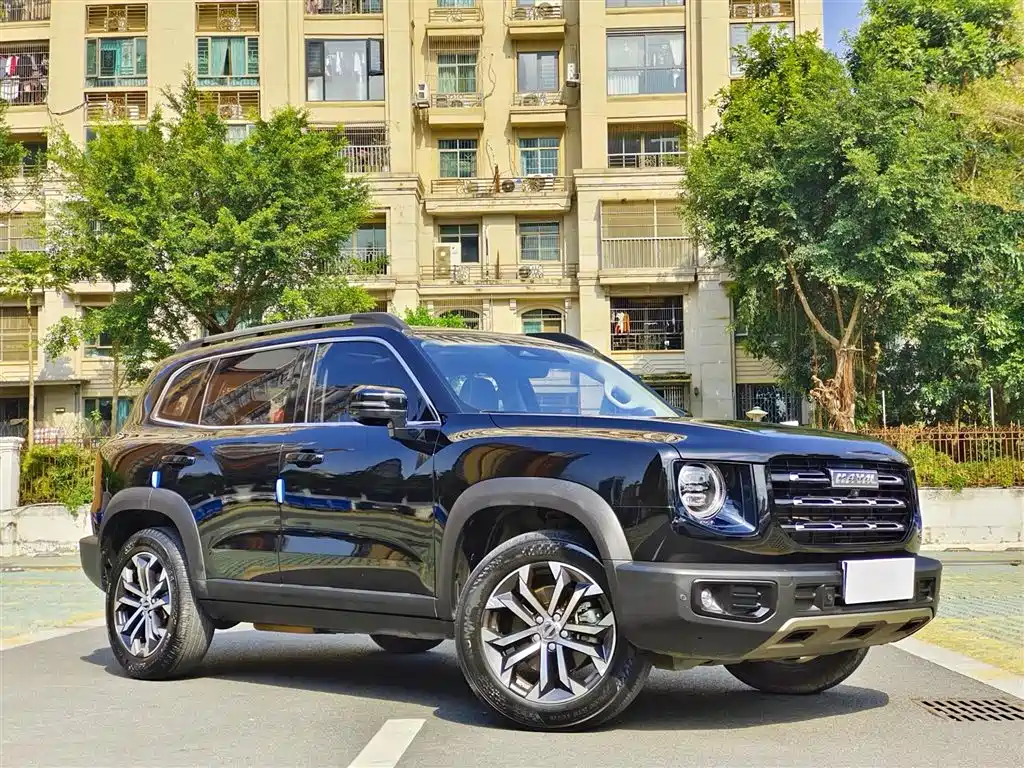 Haval Big Dog 2022 1.5T DCT FWD Border Collie Edition фото 3