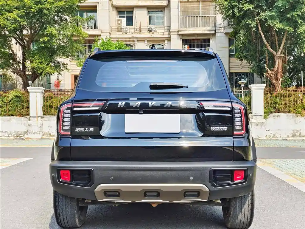 Haval Big Dog 2022 1.5T DCT FWD Border Collie Edition фото 8
