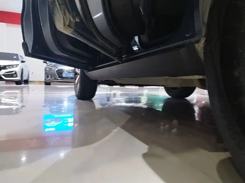 Haval Big Dog 2021 1.5T DCT 2WD Labrador Edition фото 22