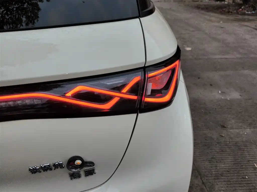 BYD Dolphin 2024 Glory Edition 420km Fashion Edition фото 8