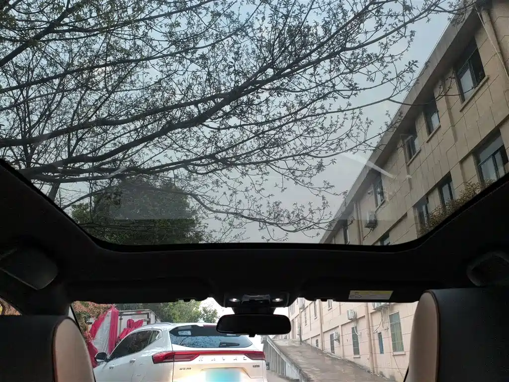 BYD Dolphin 2024 Glory Edition 420km Fashion Edition фото 18