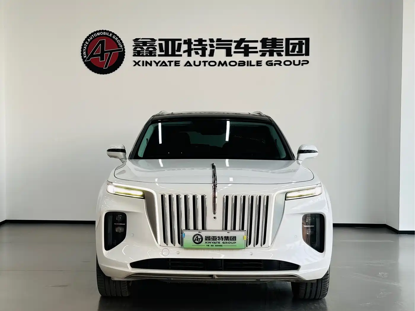Hongqi HONGQI E HS9