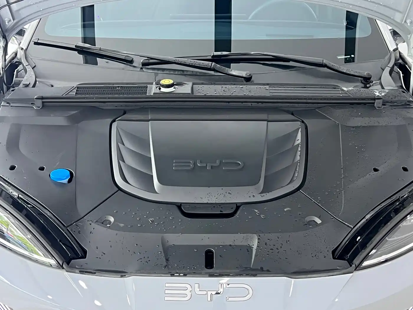 BYD Seal 2025 Facelift 650 Smart Drive Edition фото 4