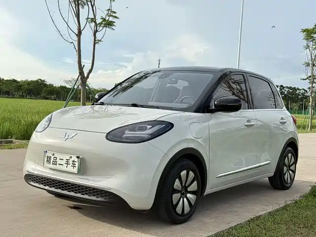  Wuling Motors Wuling Bingo 2023 333km Smart Connectivity Edition