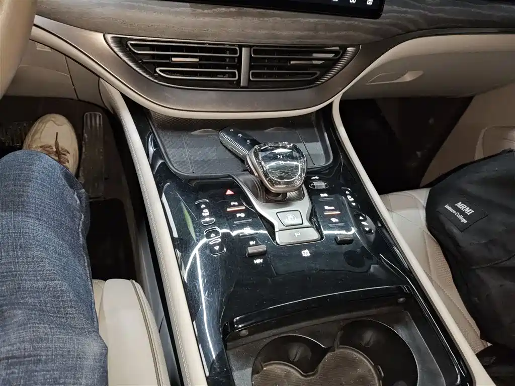 Denza D9 2022 DM-i 970 AWD Flagship фото 10