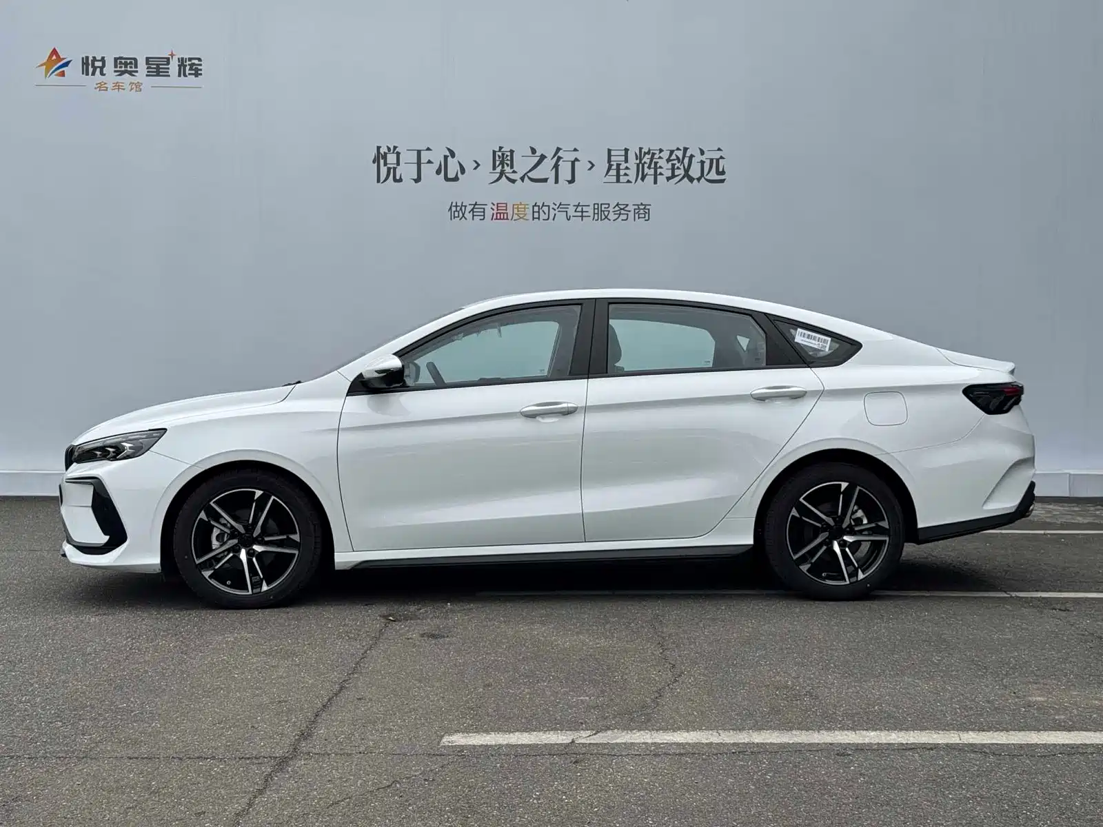 Фото 3 - Geely Binrui