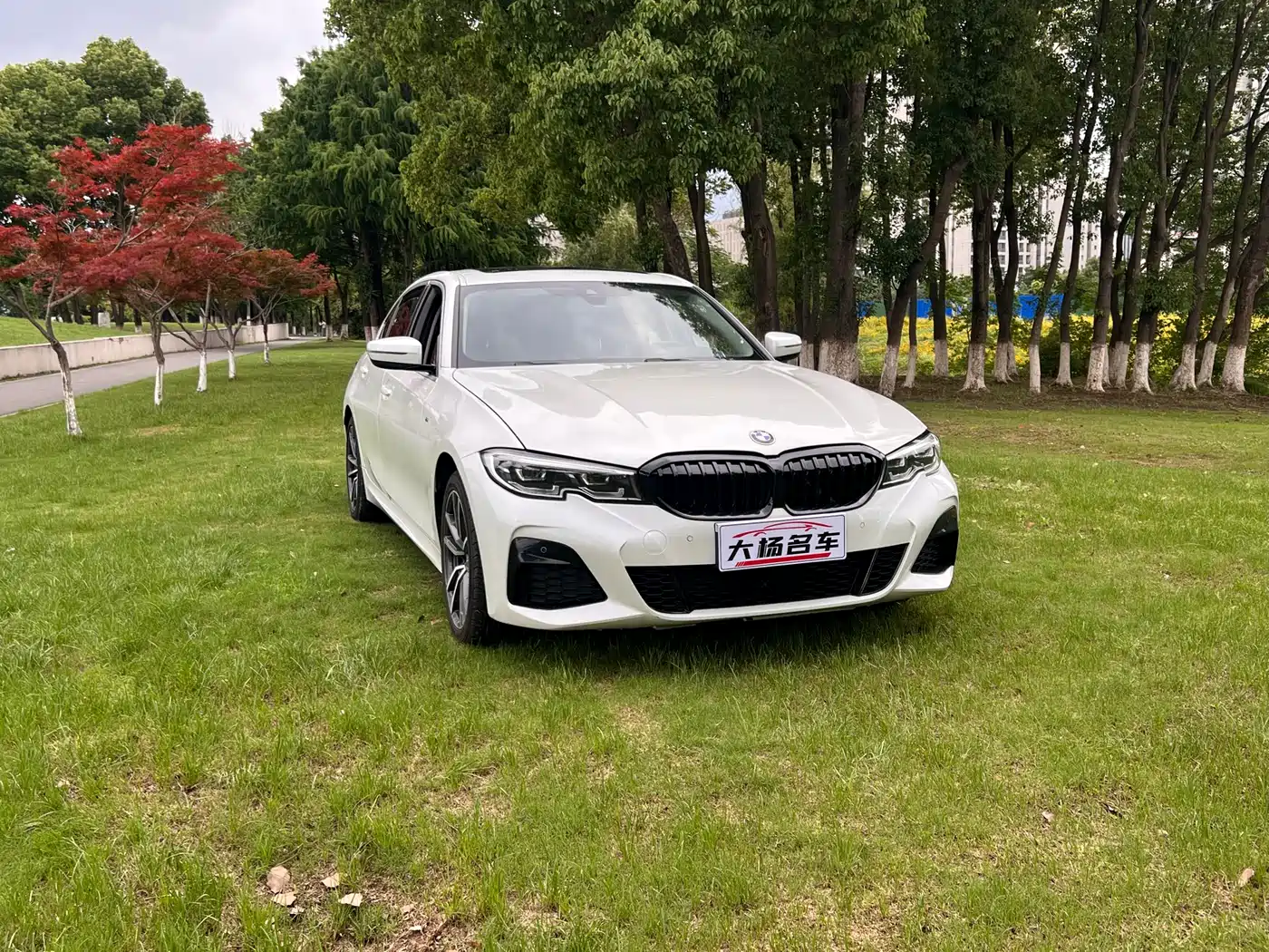 BMW 3 Series 2021 325Li M Sport Package фото 3