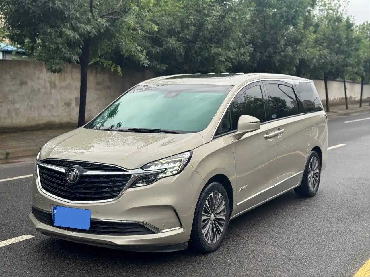 Buick GL8 2022 ES Landmark 653T Luxury