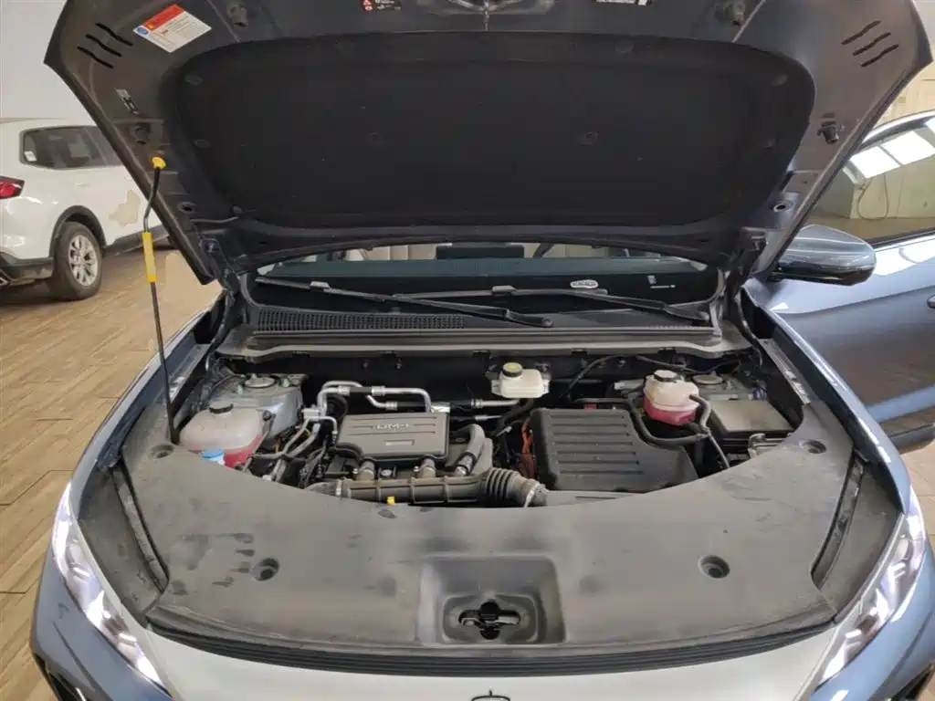 BYD Song Pro New Energy 2025 2nd Generation Smart Drive Edition DM-i 75KM Leading Type фото 20