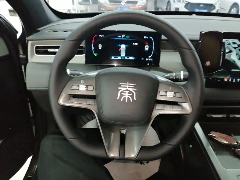 BYD Qin PLUS 2025 DM-i Smart Drive 55KM Leader фото 11