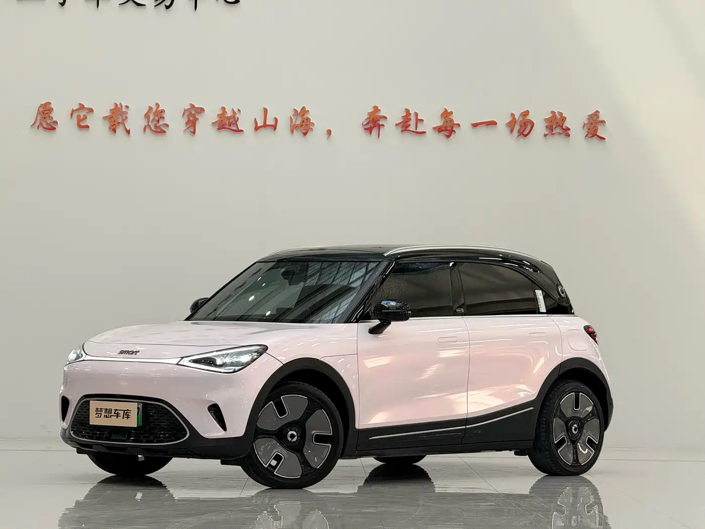 smart Elf #1 2022 Premium Edition
