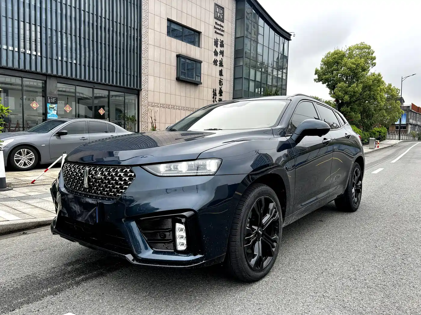WEY VV7 2021 2021 Model 2.0T Technology Edition