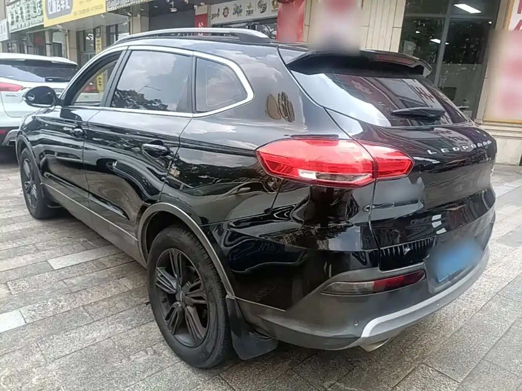 2019 Leopaard CS10