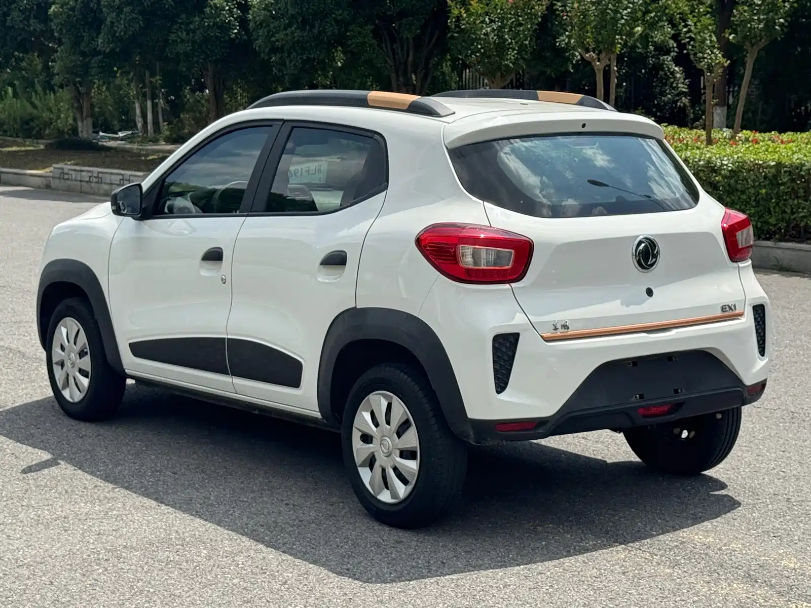 صورة 11 - Dongfeng Yipai Dongfeng Nano EX1