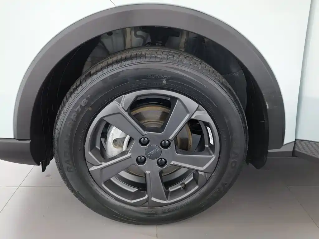 Geely Geometry E Firefly 2024 2022 401KM Delicate Tiger 4-seater
