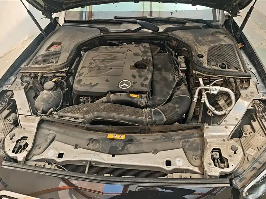 Mercedes-Benz E-Class 2021 Facelift E 300 L Luxury фото 10