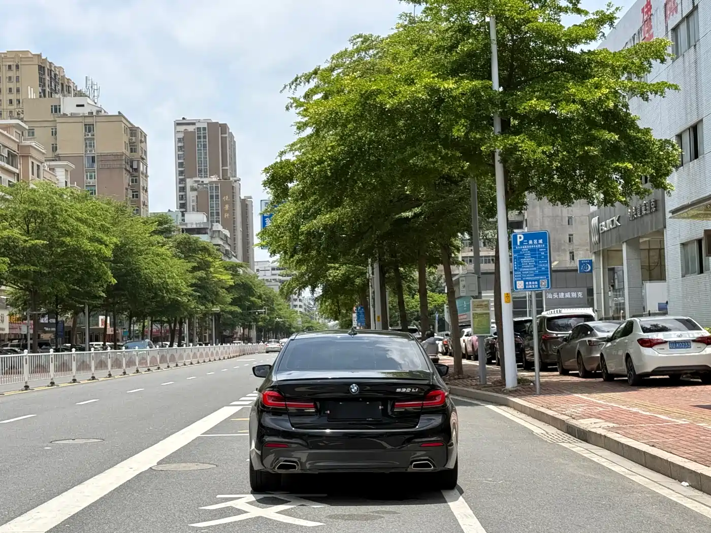 BMW 5 Series 2019 530Li Leading M Sport Package фото 11