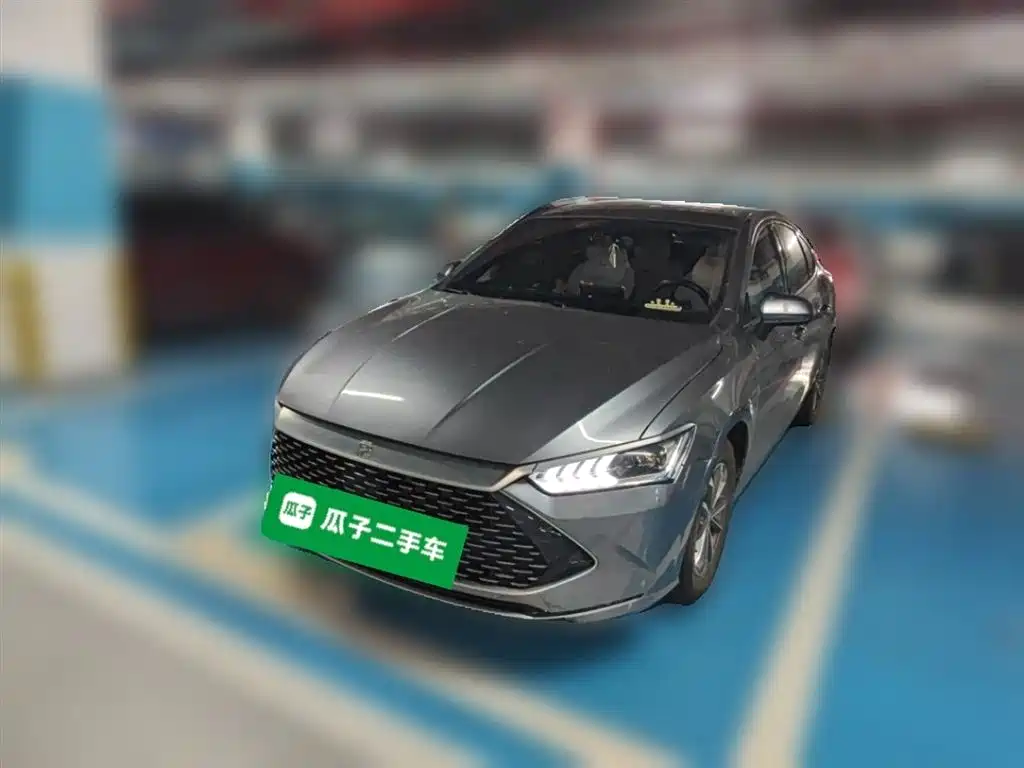 BYD Qin PLUS 2024 Glory Edition DM-i 55KM Leading