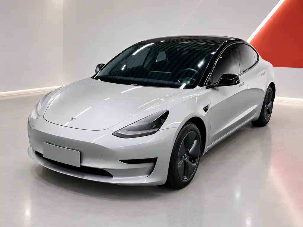 Tesla Model 3 2020 2020 Standard Range Rear-Wheel Drive Upgrade