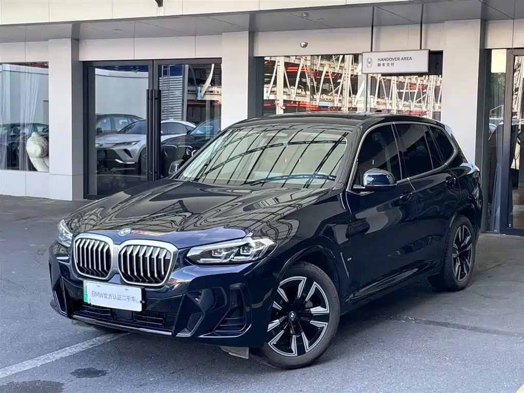 BMW iX3 2023 Leading Type