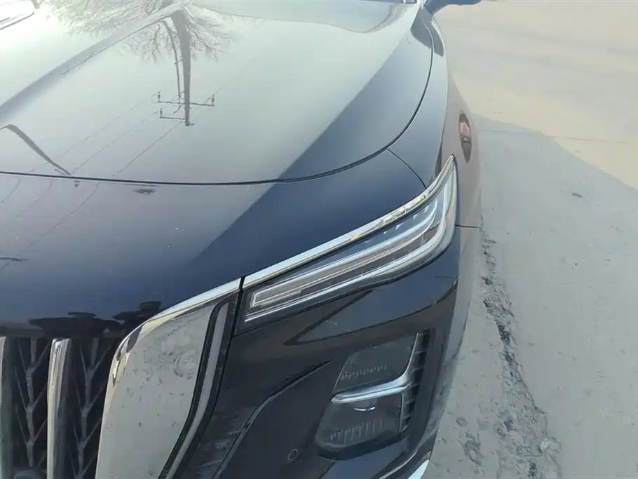 Hongqi H5 2023 1.5T DCT Smart Connect Flag Rhythm фото 5