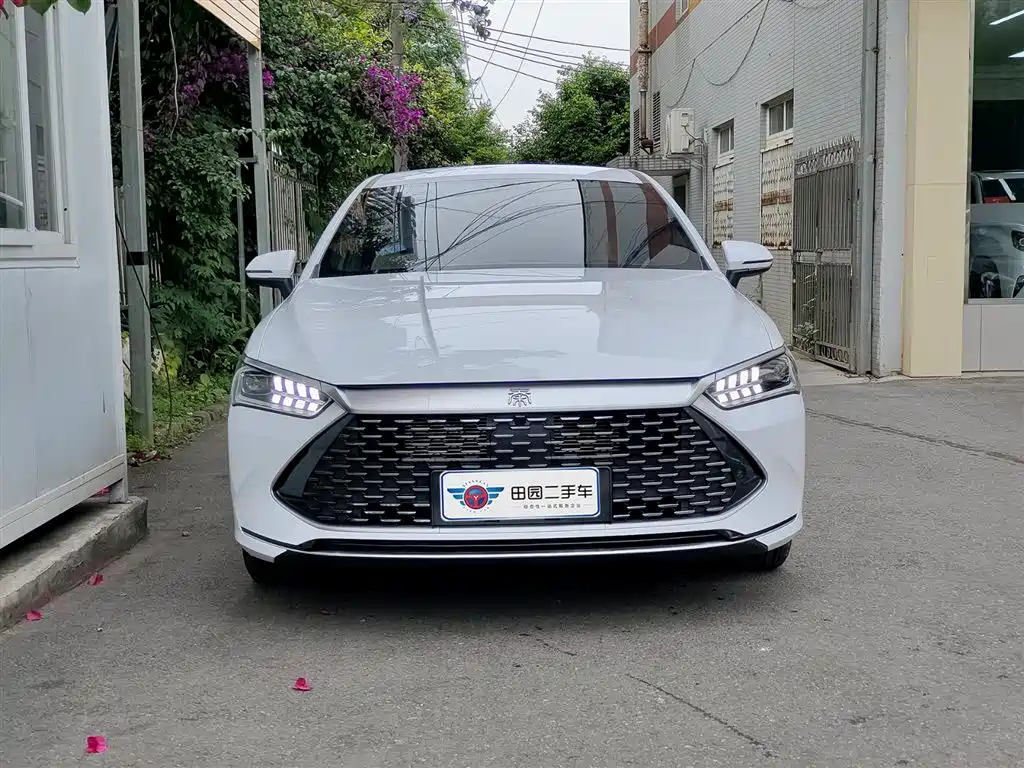 BYD Qin PLUS 2024 Glory Edition DM-i 55KM Leading фото 2