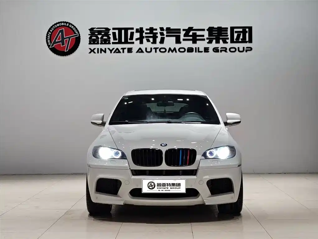 BMW X6 M 2010 X6 M фото 3