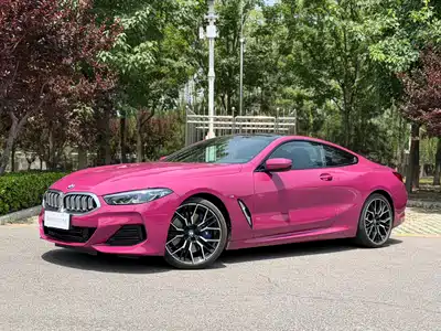 BMW 8