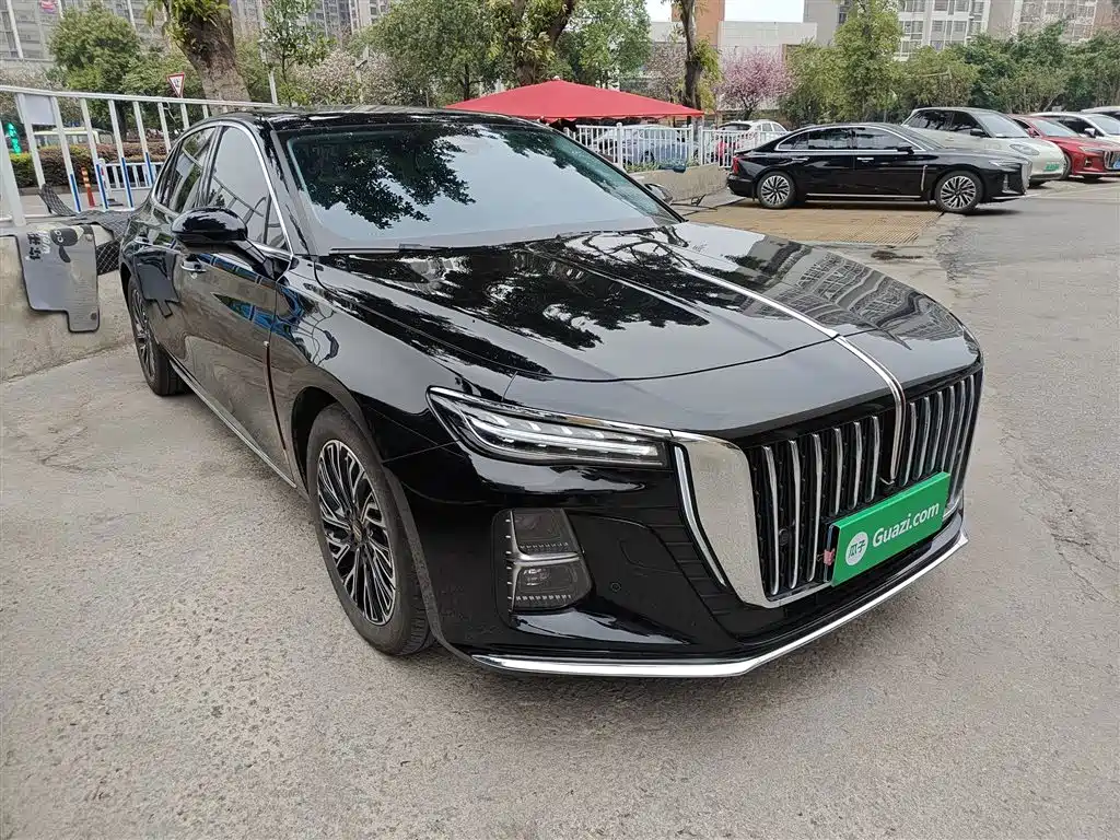 Hongqi H5 2024 2.0T Automatic Smart Connect Flag Smooth Edition фото 22