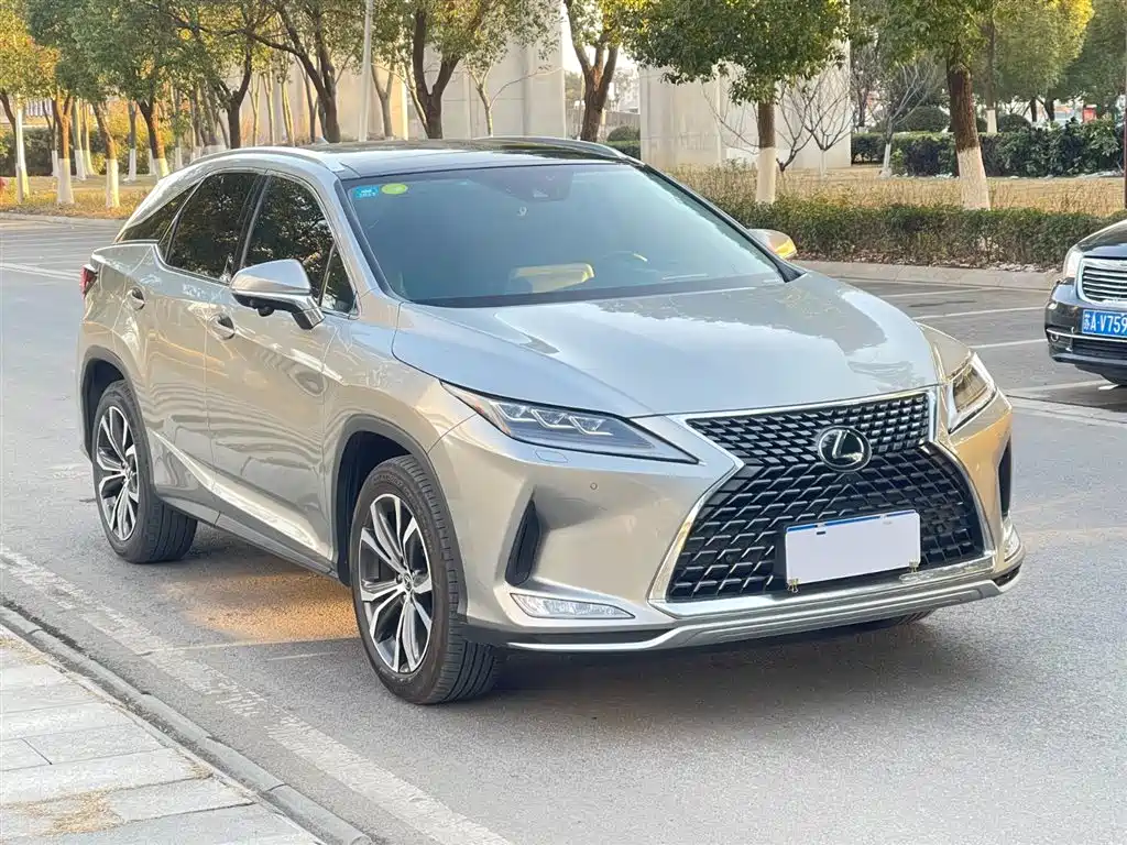 Lexus RX 2020 300 4WD Elegance Edition China VI фото 4
