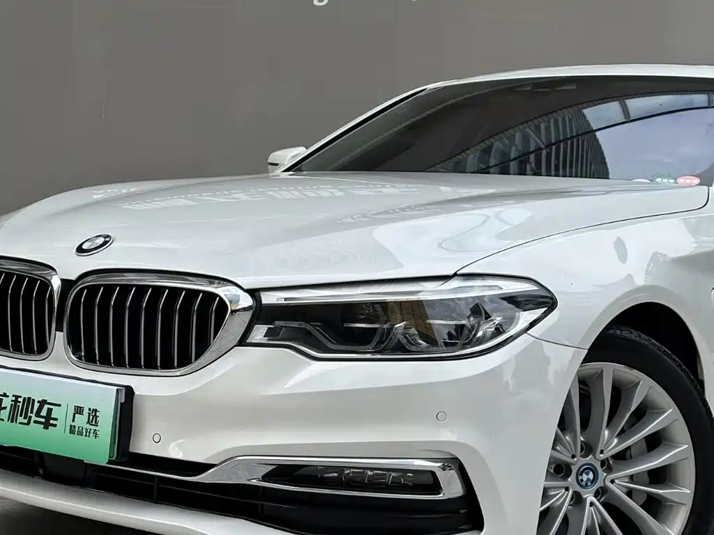 BMW 5 Series New Energy 2019 530Le Pioneer Edition фото 18