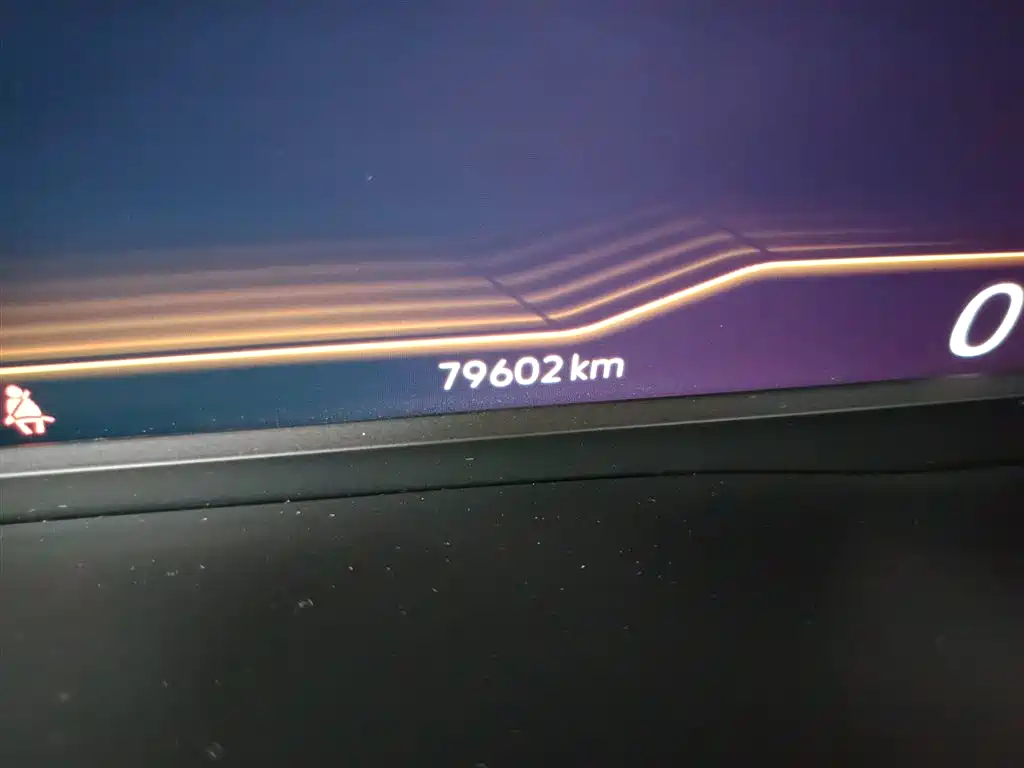 Volkswagen Viloran 2020 330TSI Luxury Edition фото 5