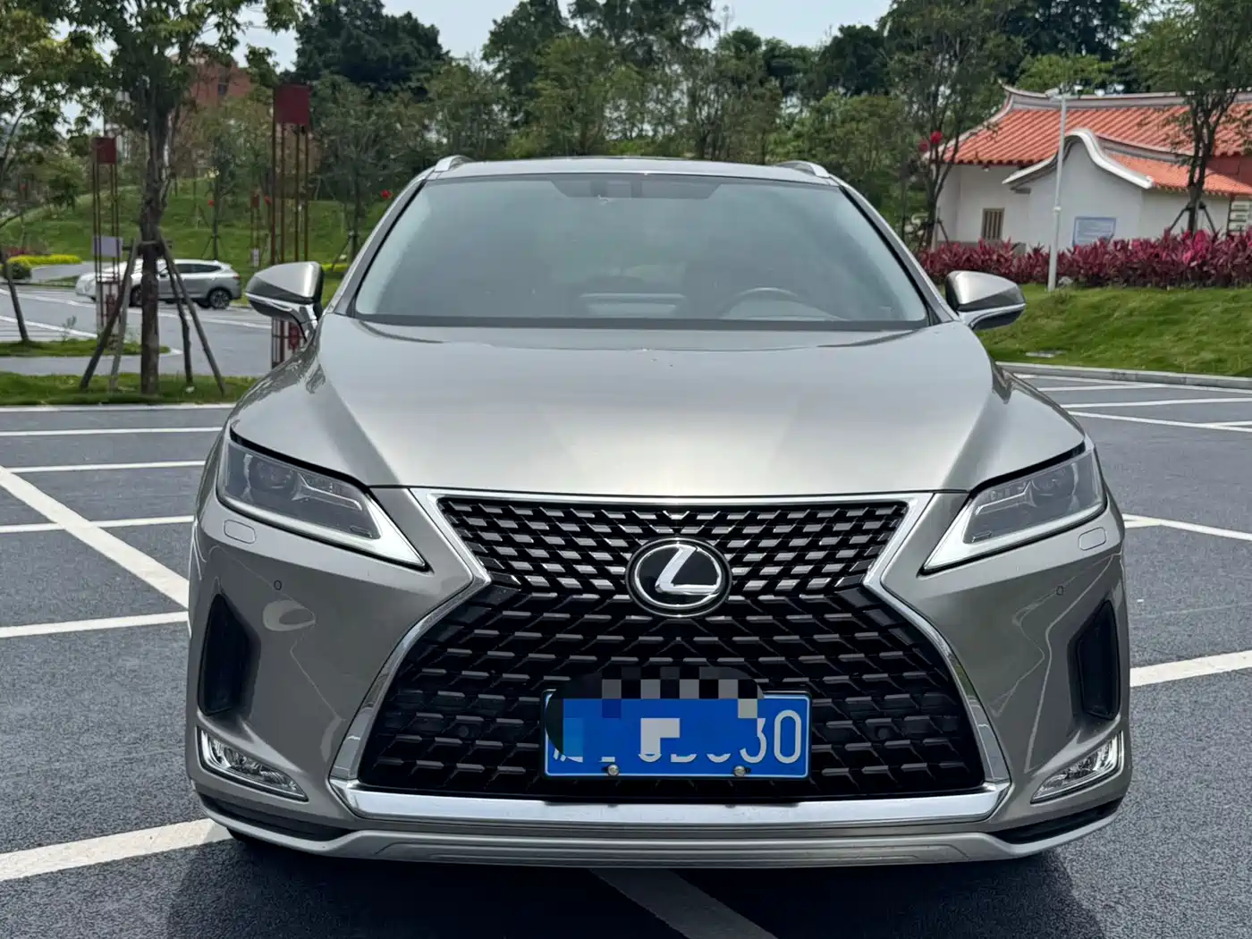 LEXUS RX