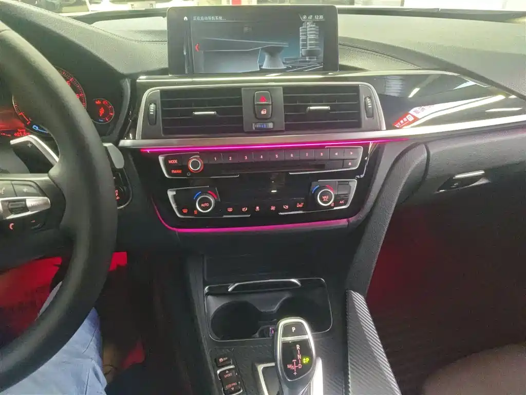 BMW 3 Series 2019 320Li M Luxury Package фото 13