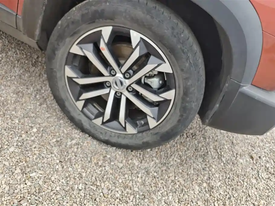 Haval Big Dog 2021 1.5T DCT 2WD Border Collie - Wangcai Edition фото 6