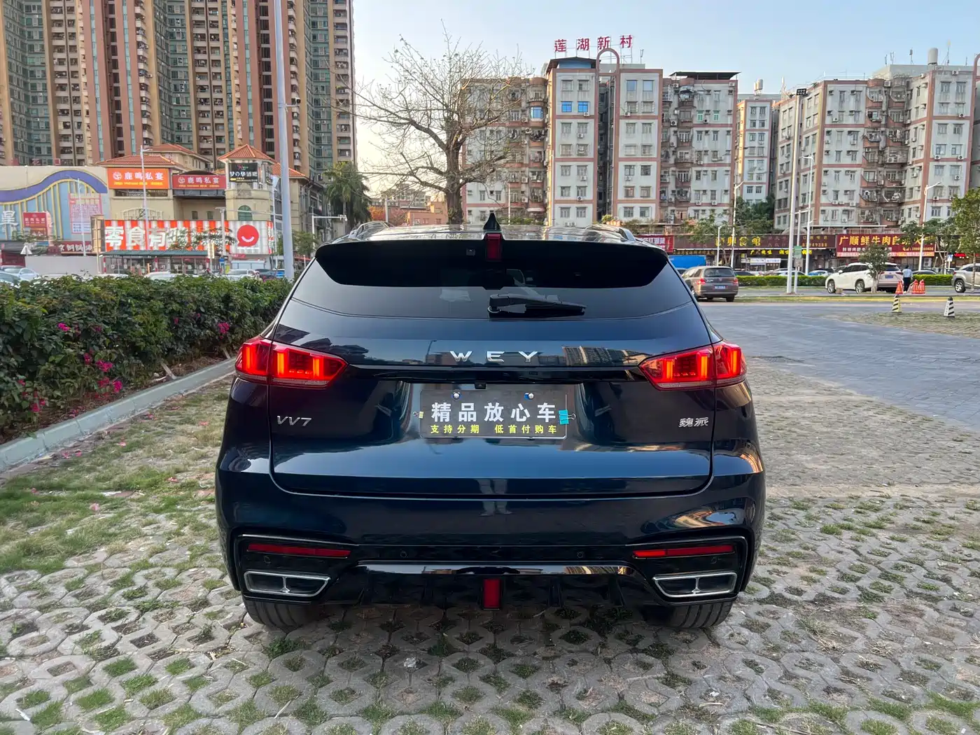 WEI PAI WEI BRAND VV7