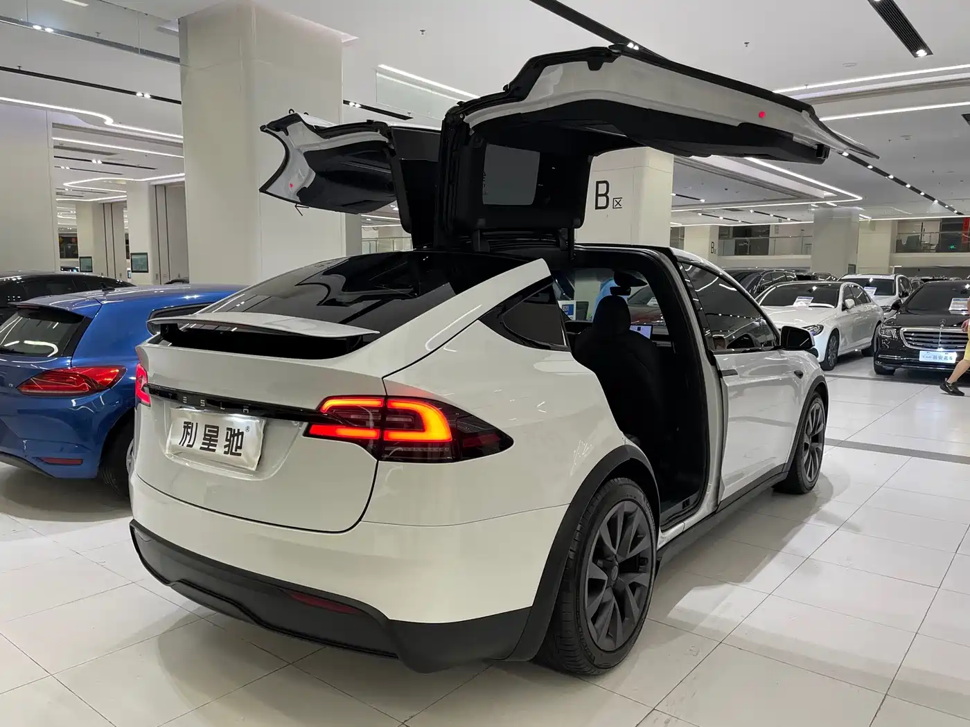 2025 Tesla Model X