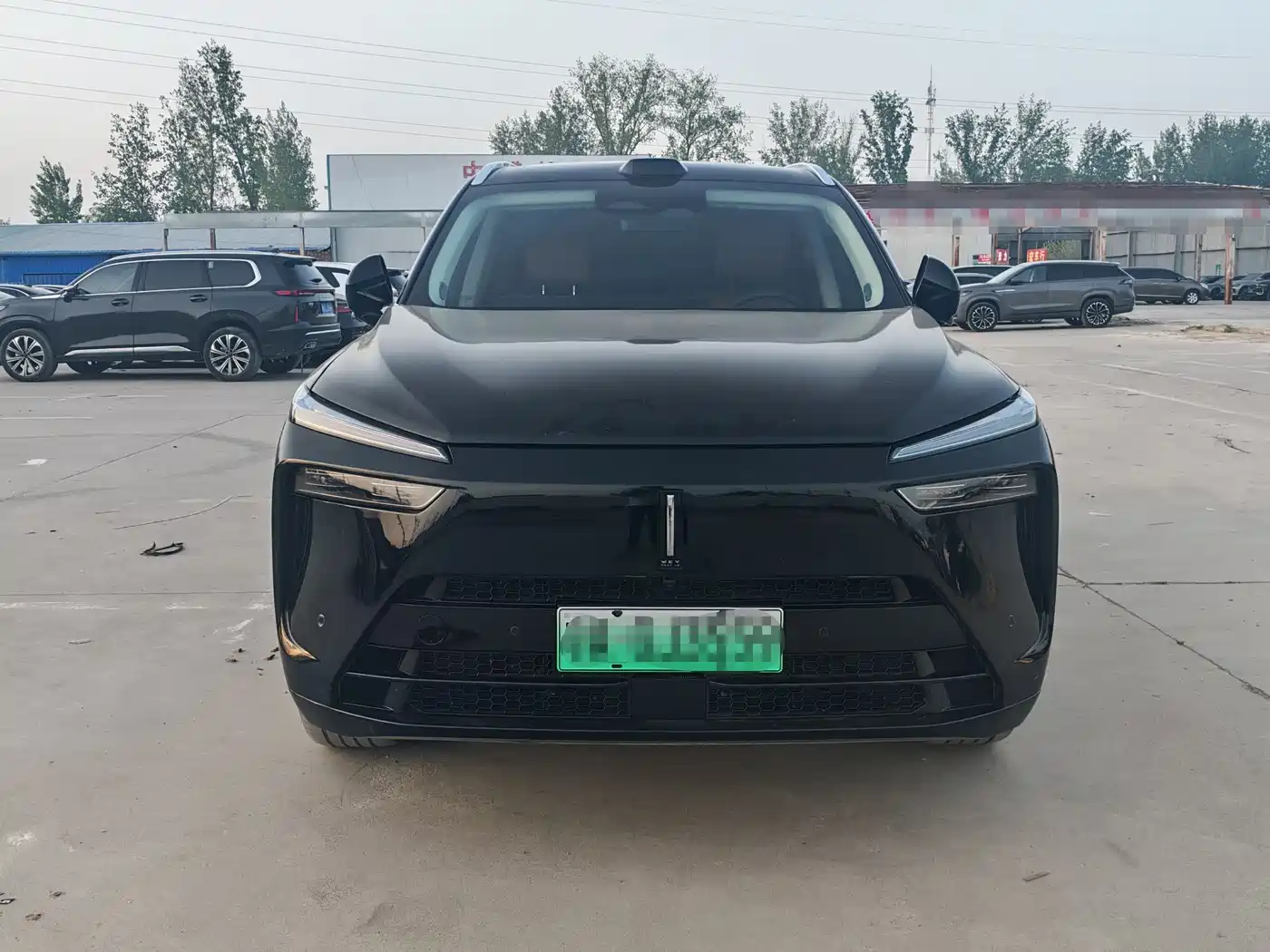 WEI PAI WEI BRAND BLUE MOUNTAIN