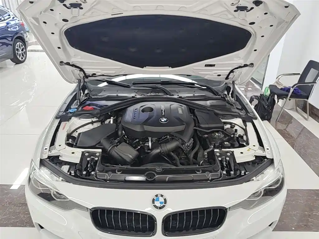BMW 3 Series 2019 320Li M Sport Black Night Edition фото 20